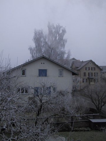 123-2377_IMG.360x480