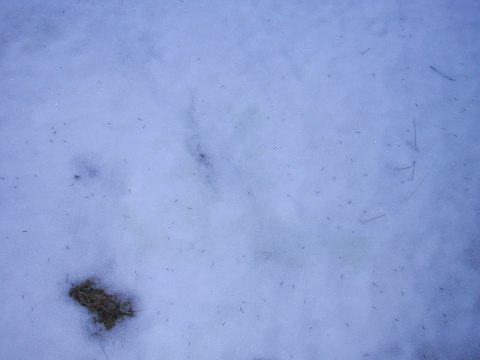 124-2416_IMG.480x360