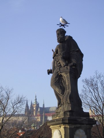 124-2478_IMG.360x480
