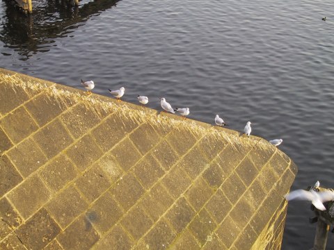 124-2480_IMG.480x360