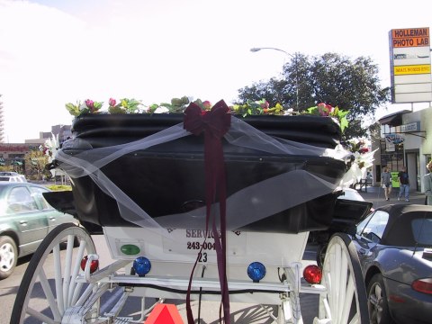 125-2556_IMG.480x360