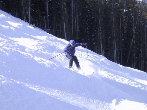 126-2666_IMG.480x360