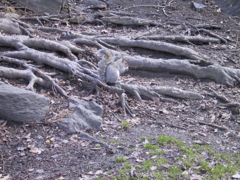 128-2832_IMG.480x360