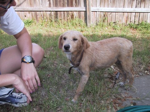 129-2931_IMG.480x360