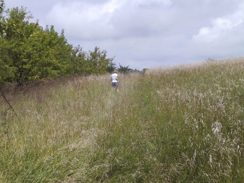 131-3149_IMG.480x360