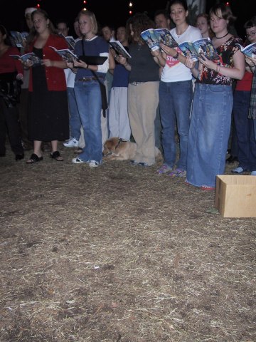 136-3677_IMG.360x480