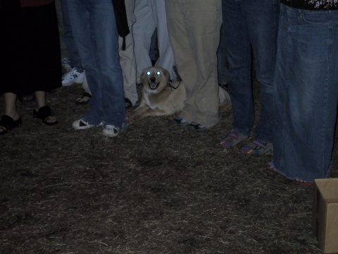 136-3679_IMG.480x360