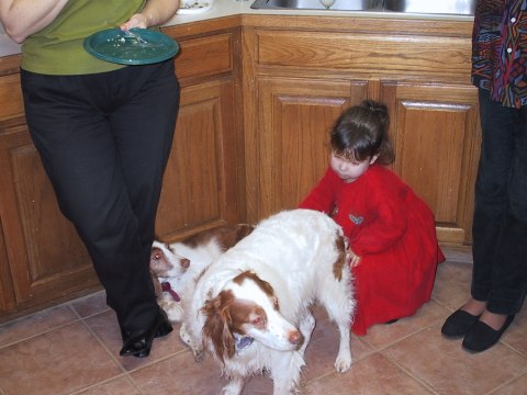 137-3701_IMG.480x360