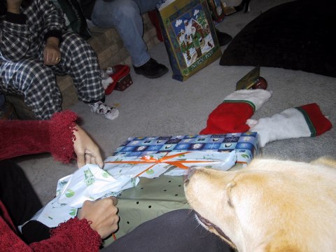 138-3859_IMG.480x360