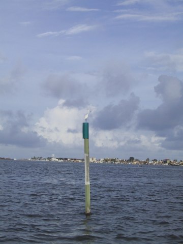 142-4219_IMG.360x480