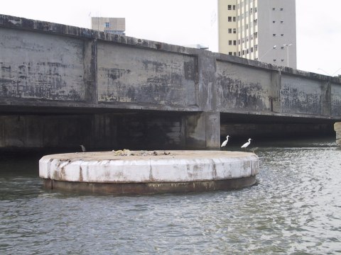 142-4224_IMG.480x360