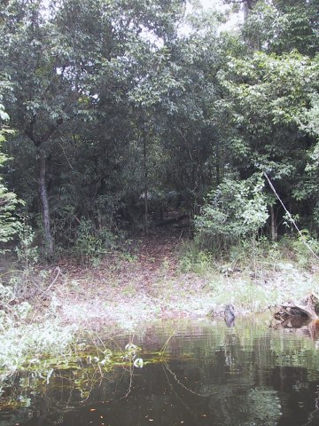 143-4393_IMG.360x480