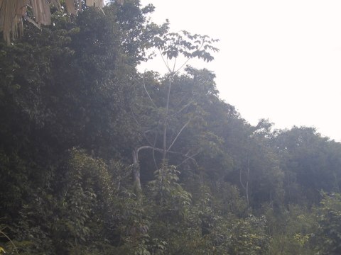 143-4400_IMG.480x360