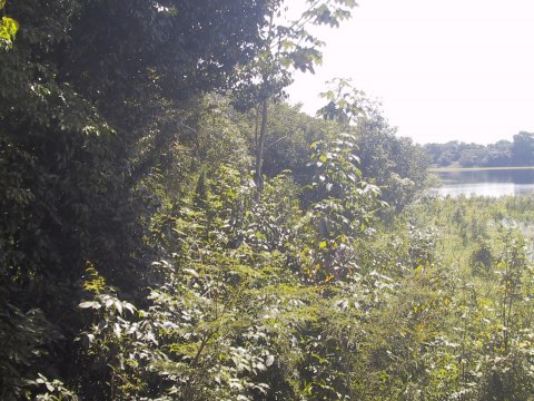 144-4401_IMG.480x360