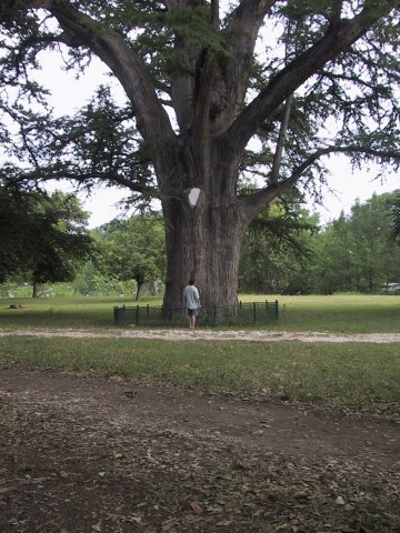145-4563_IMG.360x480