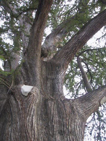 145-4565_IMG.360x480