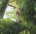 145-4568_IMG.th.128x121