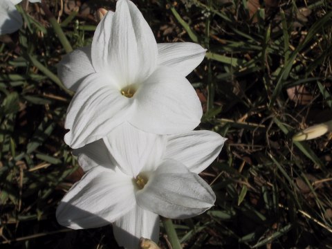 145-4581_IMG.480x360