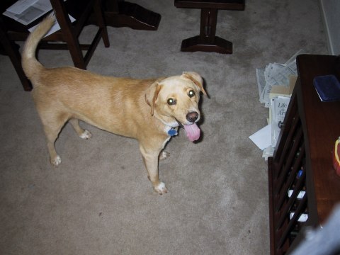 151-5167_IMG.480x360
