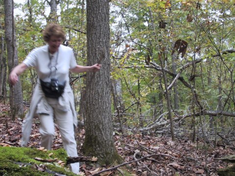 153-5385_IMG.480x360