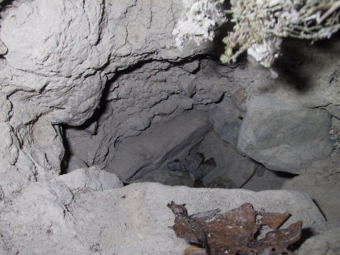 154-5415_IMG.480x360