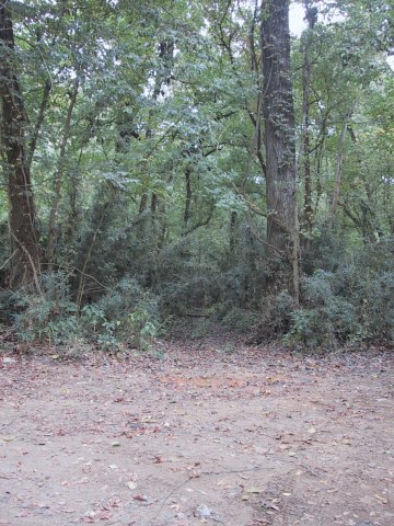 154-5451_IMG.360x480