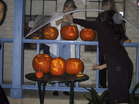 155-5535_IMG.480x360