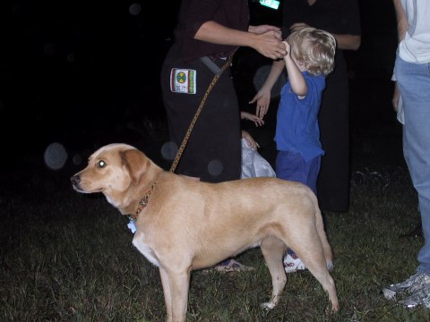 155-5557_IMG.480x360