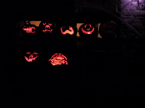 155-5577_IMG.480x360