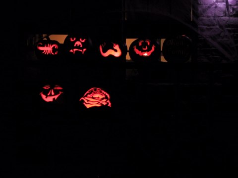 155-5578_IMG.480x360