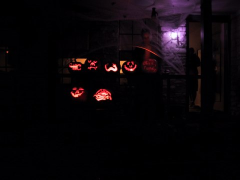 155-5579_IMG.480x360