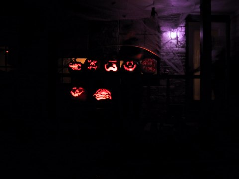 155-5580_IMG.480x360