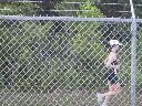IMG_0042