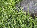 IMG_0011